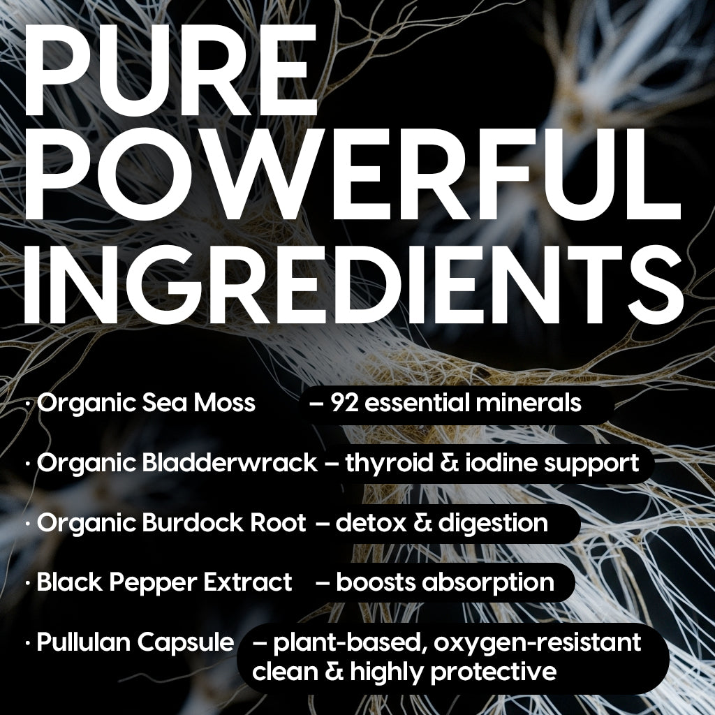 Sea Moss With Bladderwrack And Burdock Root